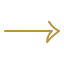 icons8 arrow 64